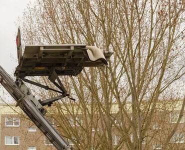Möbellift in Ludwigshafen: Möbellift zwischen kahlen Bäumen vor einem Gebäude