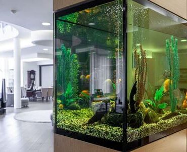 Aquarium-Umzug Ludwigshafen: Großes Aquarium in einem modernen Wohnzimmer
