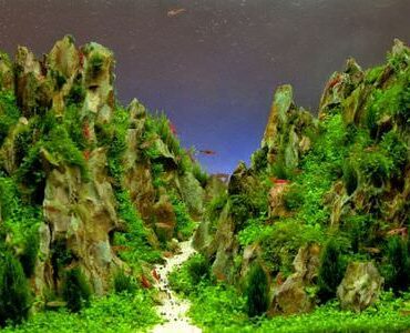 Aquarium-Umzug Ludwigshafen: Aquarium mit Felslandschaft und Pflanzen